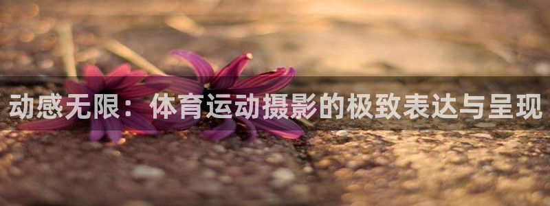 MK体育官网下载平台是正规平台吗安全吗：动感无限：体