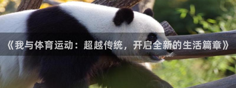 MK体育官方正版app娱乐是那个系列的台子：《我与体