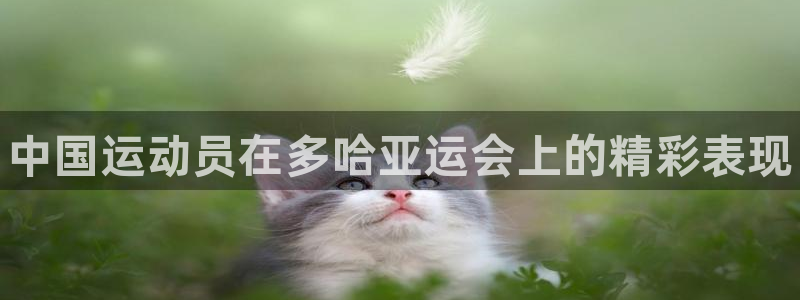 MK体育官方正版app开户：中国运动员在多哈亚运会上
