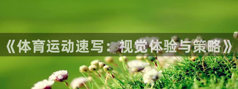 MK体育官方正版app集团logo：《体育运动速写：