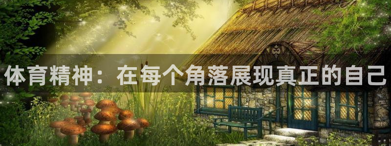MK体育官网下载平台APP：体育精神：在每个角落展现