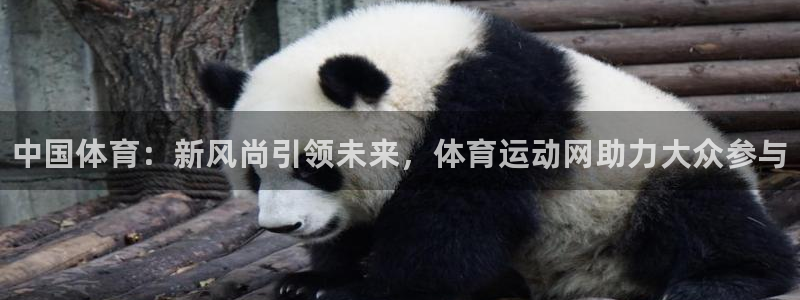 MK体育官网下载招商电话号码查询：中国体育：新风尚引
