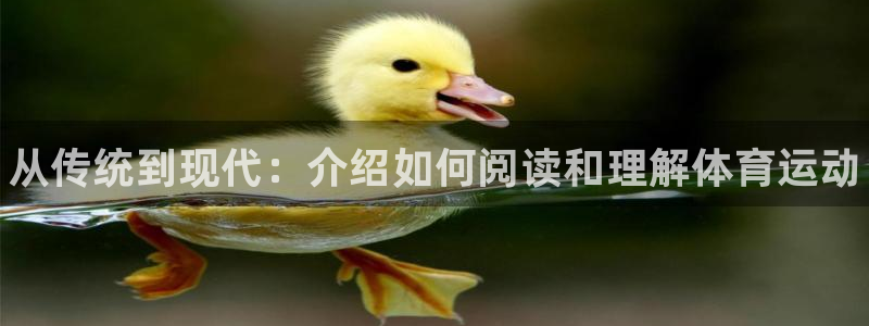 MK体育官网下载招商电话号码：从传统到现代：介绍如何