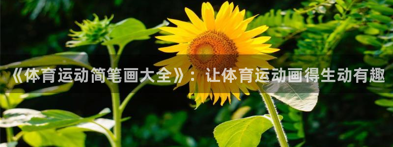 MK体育官网下载平台注册要钱吗：《体育运动简笔画大全