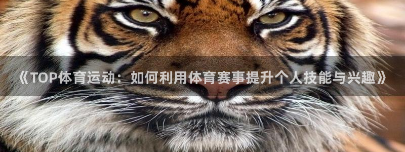 MK体育官网下载娱乐：《TOP体育运动：如何利用体育