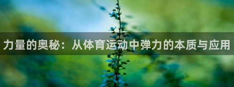 MK体育官网下载招商电话地址查询：力量的奥秘：从体育