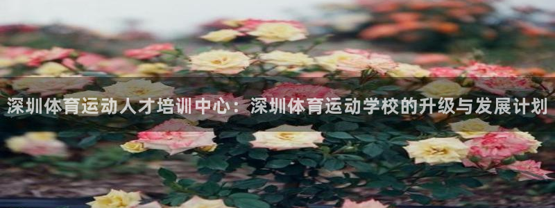 MK体育官方平台体育