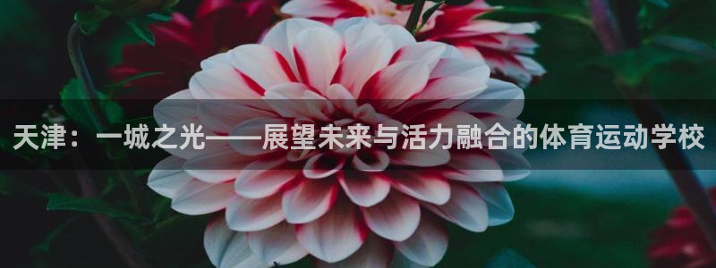 MK体育官方正版app集团官网首页网址：天津：一城之光——展
