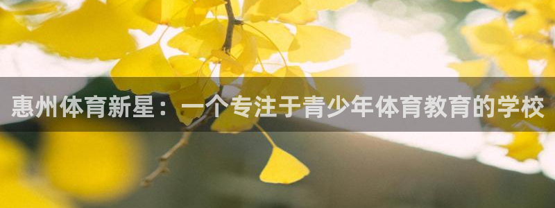 MK体育官方正版app集团官网网址：惠州体育新星：一个专注于