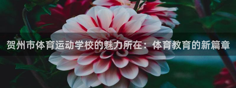 德国MK体育官方正版app集团：贺州市体育运动学校的魅力所在