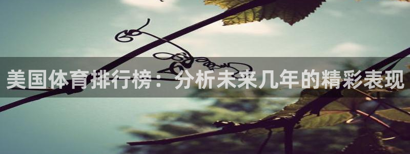 MK体育官网下载软件：美国体育排行榜：分析未来几年的精彩表现