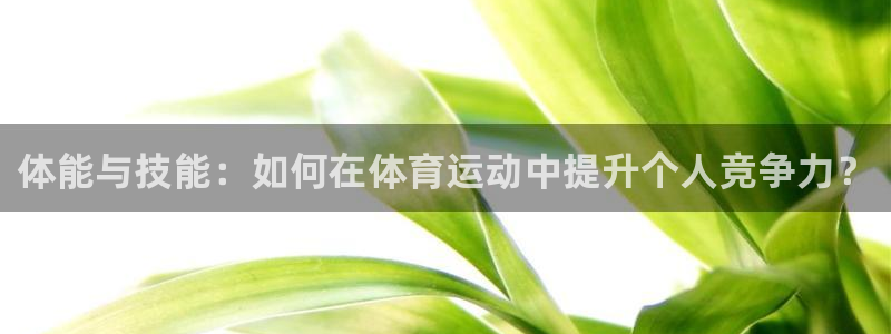 MK体育官网下载平台是正规平台吗安全吗：体能与技能：如何在体