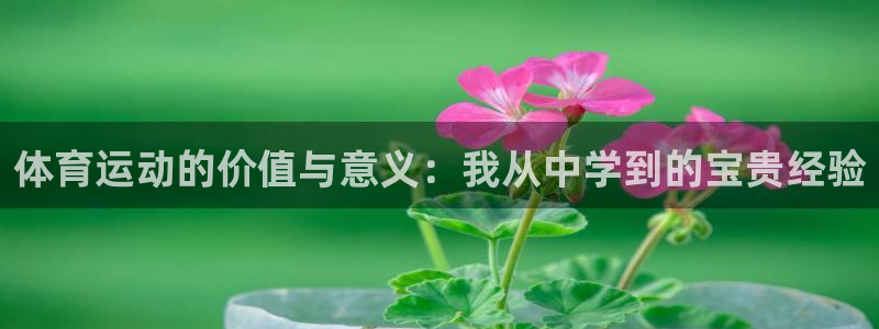 MK体育官方正版app娱乐代理怎么样：体育运动的价值