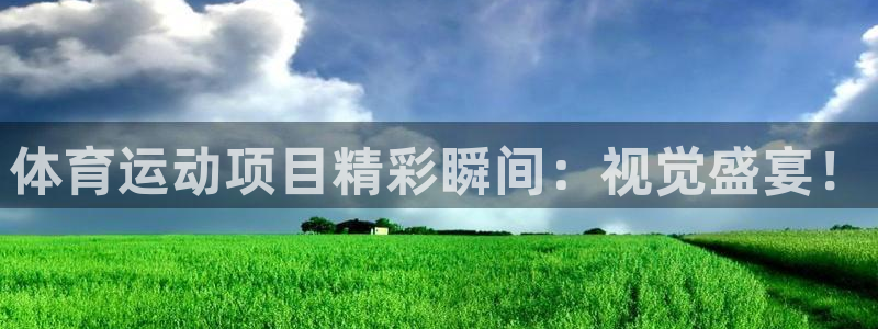 MK体育官网下载招商电话是多少：体育运动项目精彩瞬间