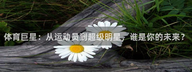 MK体育官方正版app娱乐首页网站大全