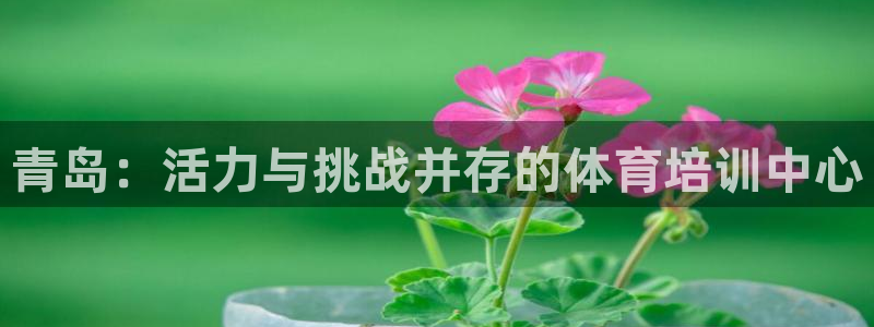 MK体育官网下载平台注册流程图