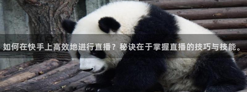 so米体育直播官网入口：如何在快手上高效地进行直播？秘诀在于掌握直播的技巧与技能。