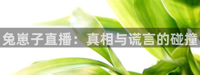 so米体育在线直播免费观看：兔崽子直播：真相与谎言的碰撞