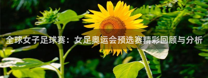so米直播篮球在线直播：全球女子足球赛：女足奥运会预选赛精彩回顾与分析