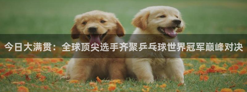 so米直播nba体育：今日大满贯：全球顶尖选手齐聚乒乓球世界冠军巅峰对决