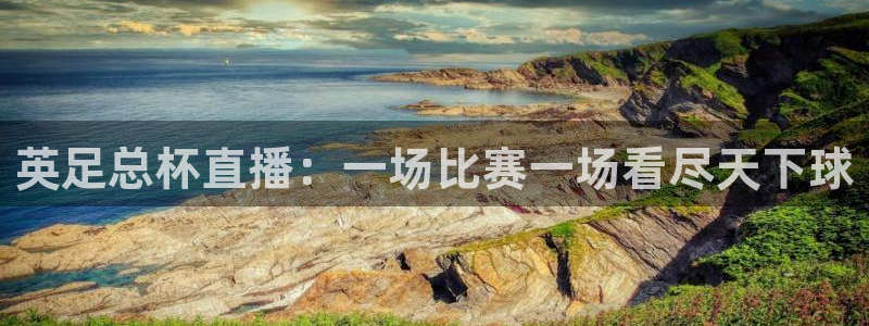 so米体育直播app：英足总杯直播：一场比赛一场看尽天下球
