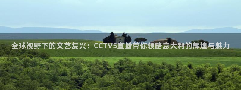 so米nba直播：全球视野下的文艺复兴：CCTV5直播带你领略意大利的辉煌与魅力