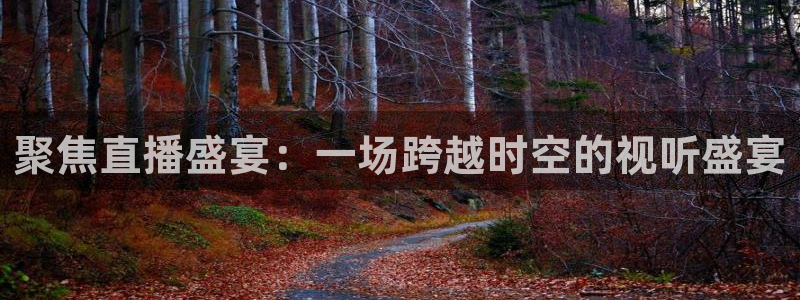so米体育直播免费下载：聚焦直播盛宴：一场跨越时空的视听盛宴
