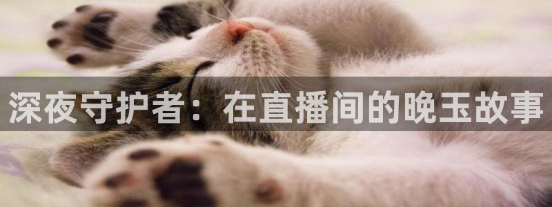 so米体育nba免费直播：深夜守护者：在直播间的晚玉故事