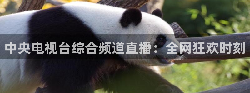 体育直播so米：中央电视台综合频道直播：全网狂欢时刻