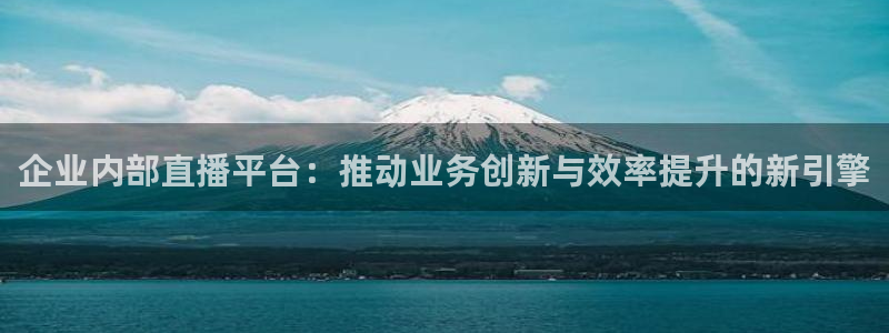 so米体育比赛直播：企业内部直播平台：推动业务创新与效率提升的新引擎
